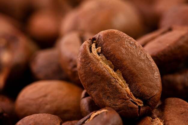 Macrophotographie des grains de café