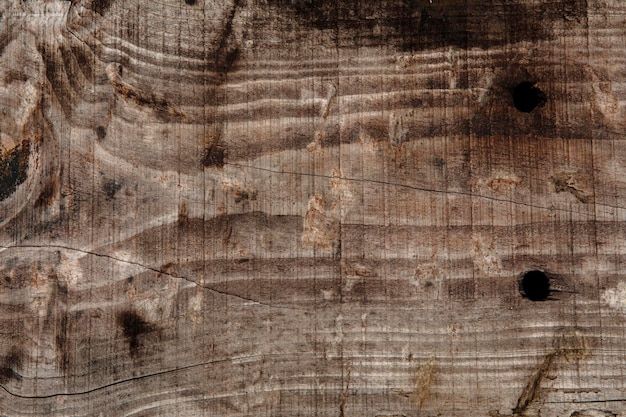 Photo macrophotographie de la texture du bois