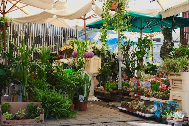 Madrid Espagne 22 août 2020 marché aux fleurs en plein air près de la station de métro Tirso de Molina