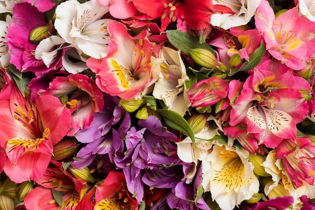 Photo magnifique arrangement de fond de fleurs