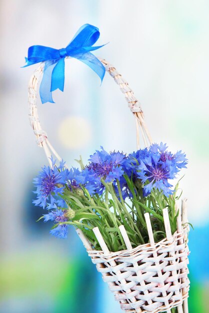 Magnifique bouquet de bleuets dans le panier sur fond bleu