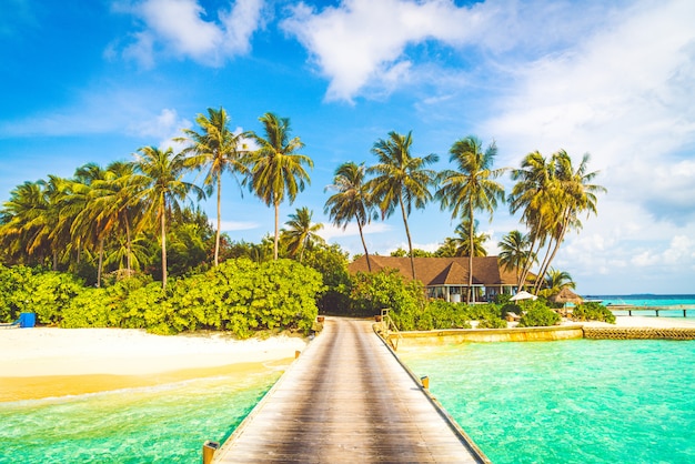 Magnifique complexe tropical des Maldives et île avec plage et mer