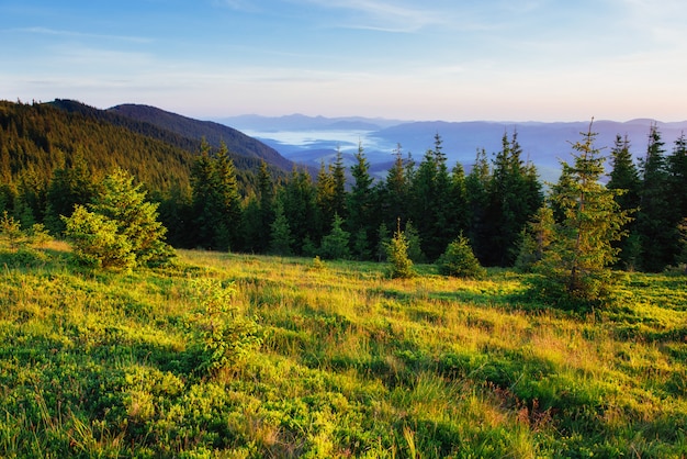 Magnifique coucher de soleil dans les montagnes d'Ukraine