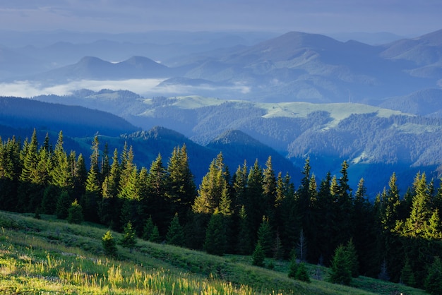 Magnifique coucher de soleil dans les montagnes d'Ukraine