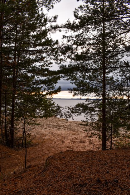 Magnifique coucher de soleil sur la Volga