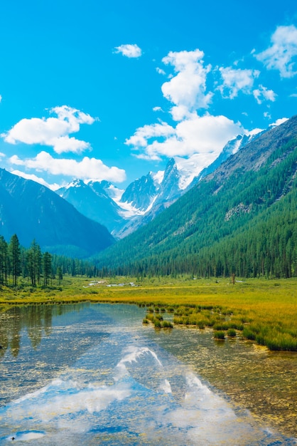 Magnifique glacier reflété dans l'eau pure de la montagne avec des plantes sur le fond.