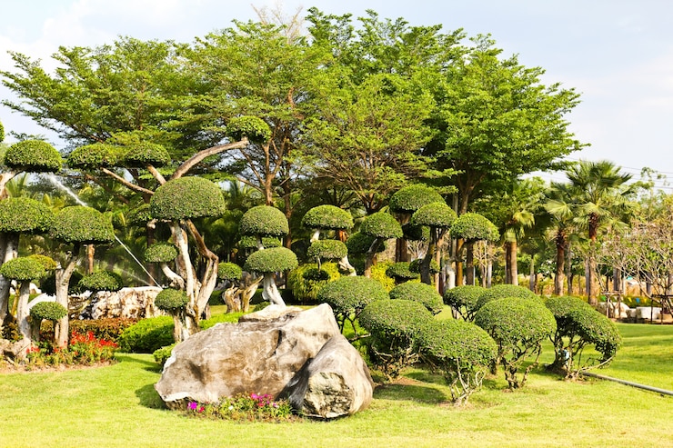 Photo magnifique jardin