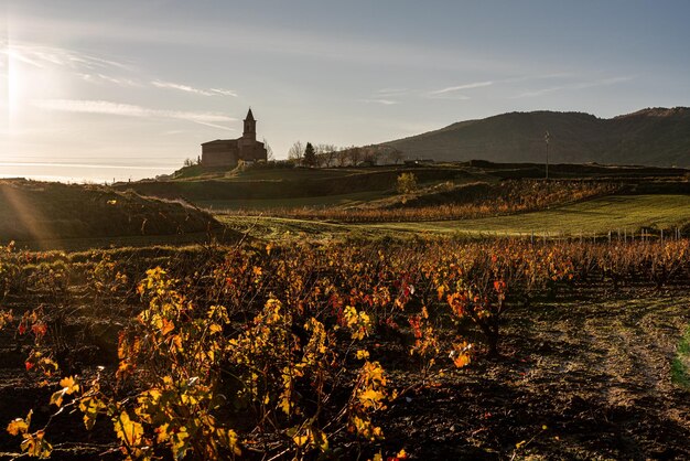 Photo un magnifique lever de soleil sur le camino de santiago à ventosa décembre 2019