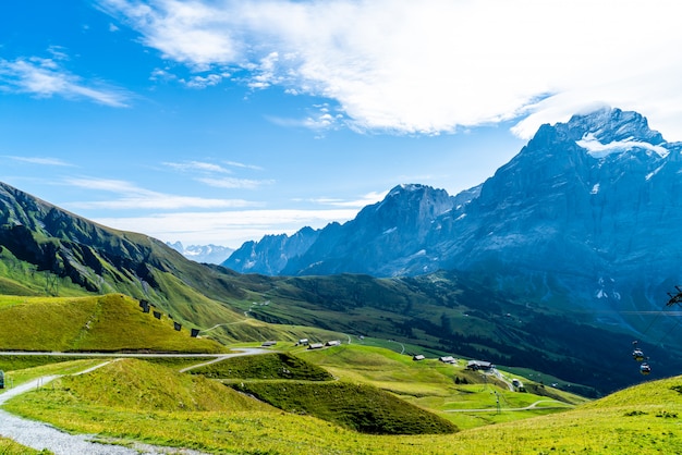 Magnifique montagne des Alpes à Grindelwald, Suisse