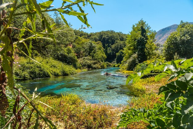 Photo magnifique paysage à côté de l'oeil bleu ou syri i kalter un phénomène naturel dans les montagnes du sud de l'albanie