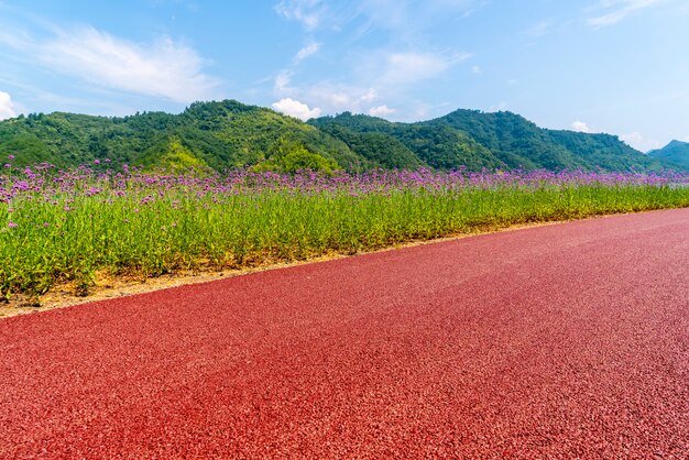 Le magnifique paysage du lac Qiandao