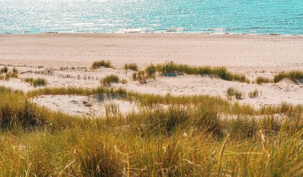 Magnifique paysage avec les dunes d'ammophile et l'eau de mer bleue sur l'île de Sylt en mer du Nord en Allemagne