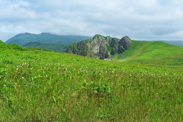 Le magnifique paysage de l'île de Kunashir avec des collines herbeuses et des rochers de basalte se concentre sur les forbs proches