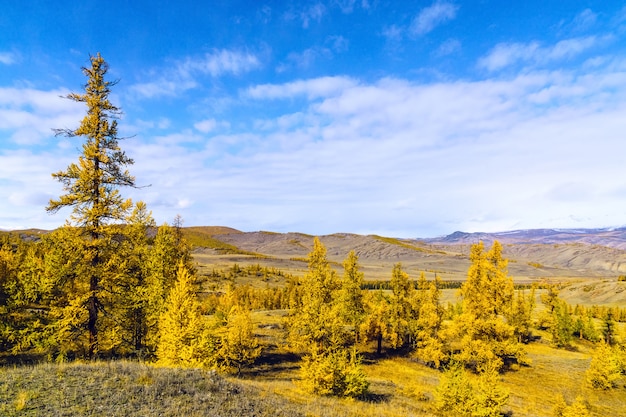 magnifique paysage de montagne de la République de montagne de l&#39;Altaï, fin de l&#39;automne, Russie.