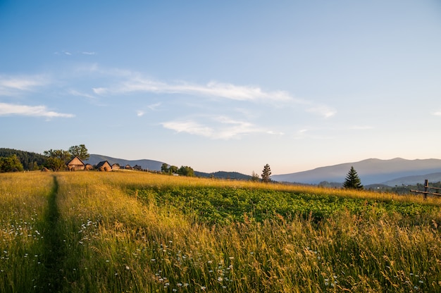 Magnifique paysage de montagne