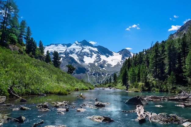 Le magnifique paysage naturel des montagnes de l'Altaï. Sibérie méridionale, Russie. rivière de montagne qui coule en arrière-plan les sommets enneigés