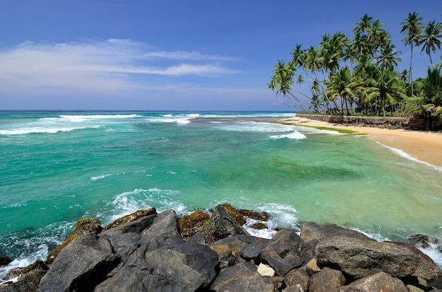 Magnifique paysage de plage au Sri Lanka