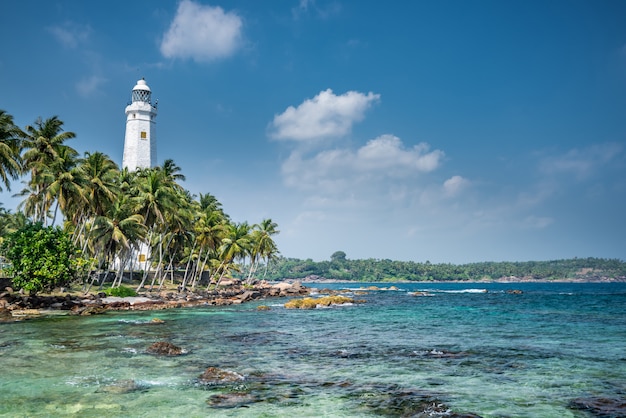 Magnifique paysage de plage au Sri Lanka