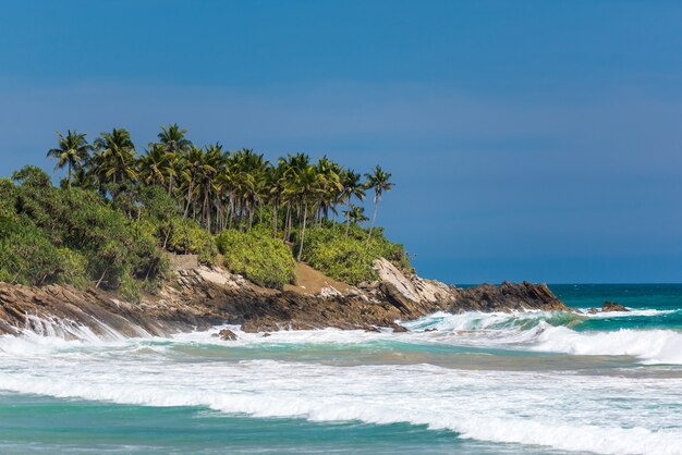 Magnifique paysage de plage au Sri Lanka