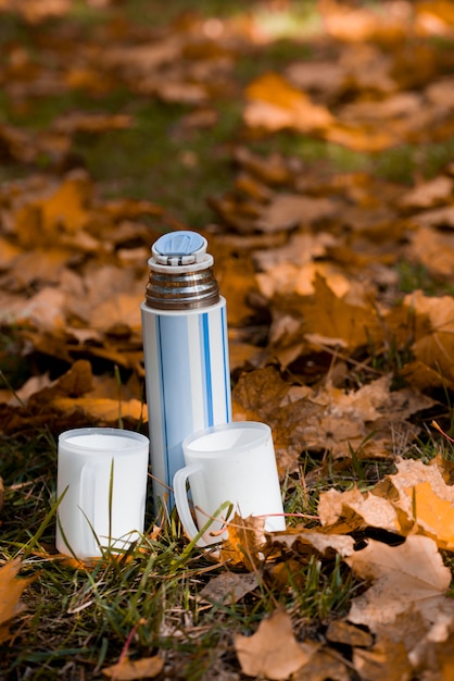 Photo magnifique thermos avec deux tasses blanches et feuilles d'automne dans le parc.