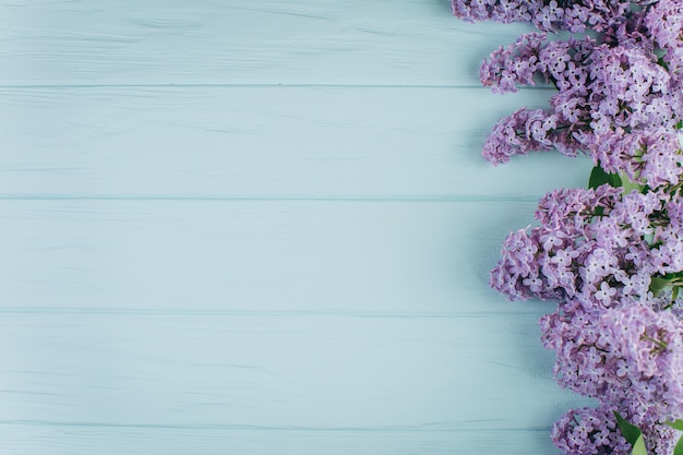 Le magnifique violet lilas sur un fond en bois bleu