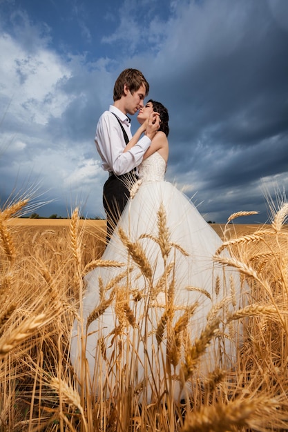 Magnifiques mariés dans un champ de blé. Bonheur et mariage