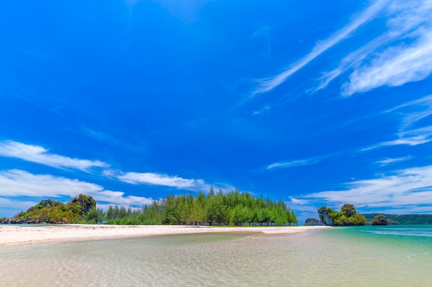 Magnifiques Plages De Sable Et Vues Sur Les Pins Au Paradise Island à Krabi En Thaïlande