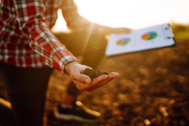 La main d'un agriculteur expert recueille le sol et vérifie la santé du sol avant de faire pousser une graine de légume