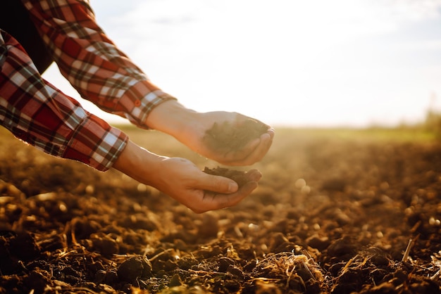 La main d'un agriculteur expert recueille le sol et vérifie la santé du sol avant de faire pousser une graine de légume