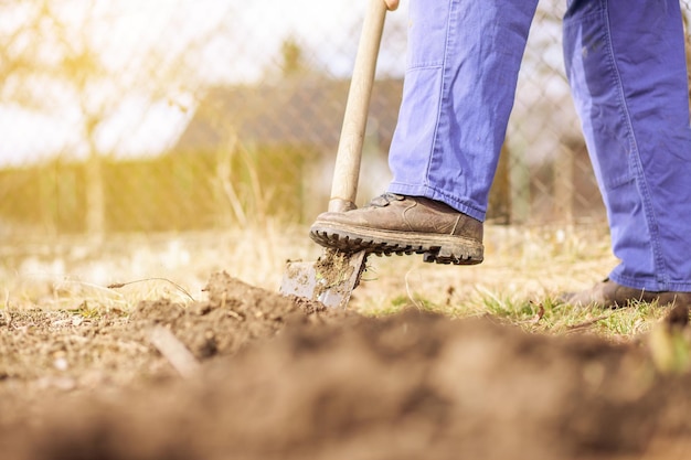 Photo la main d'un aîné actif en train d'enlever les mauvaises herbes de son énorme jardin botanique en faisant un travail dur.