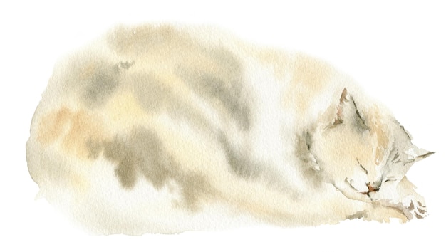 Main aquarelle dessiner croquis de chat endormi d'illustration de chaton mignon avec animal de compagnie