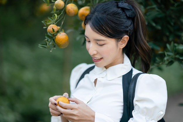 Main atteignant la mandarine de l'arbre à récolter