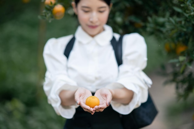 Main atteignant la mandarine de l'arbre à récolter