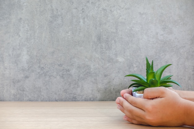 Main de bébé tenant un pot d&#39;arbre sur une table en bois et de mettre le texte