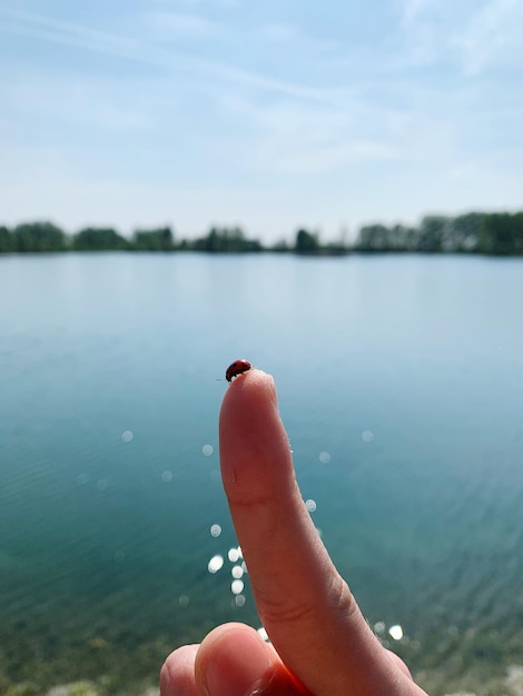 La main coupée au lac