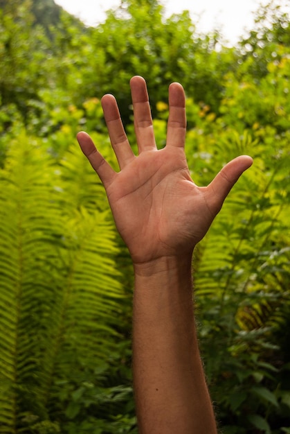 Photo la main coupée d'une femme contre les plantes