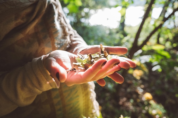 Photo la main coupée d'une femme tenant des feuilles