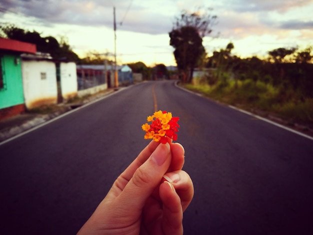 Photo la main coupée d'une femme tenant une fleur sur la route contre le ciel