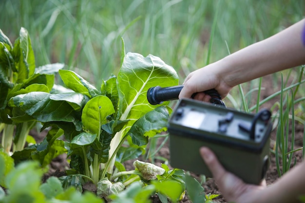 Photo main coupée d'une personne tenant une machine par plante