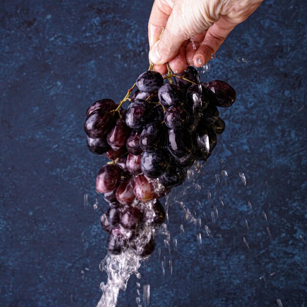 Photo main coupée d'une personne tenant des raisins dans l'eau.