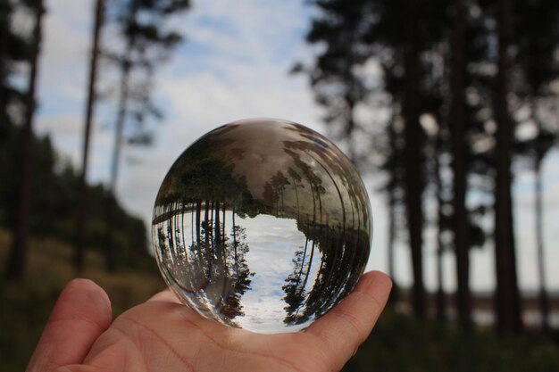 Main coupée tenant une boule de cristal avec un reflet d'arbres