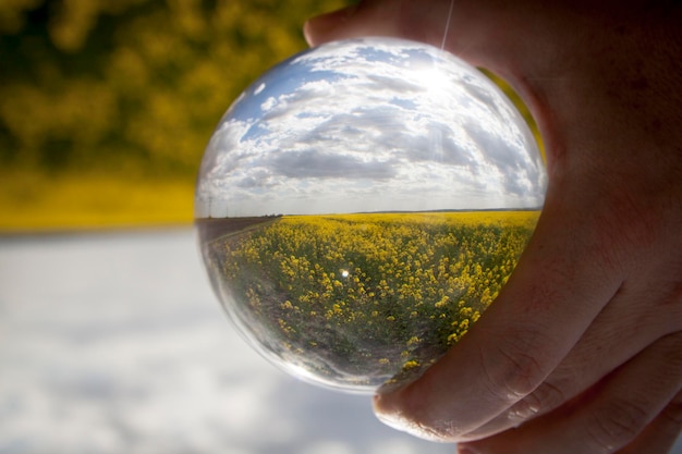 Photo main coupée tenant une boule de cristal avec la réflexion du ciel et du champ