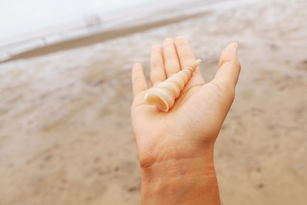 Une main coupée tenant une coquille sur la plage