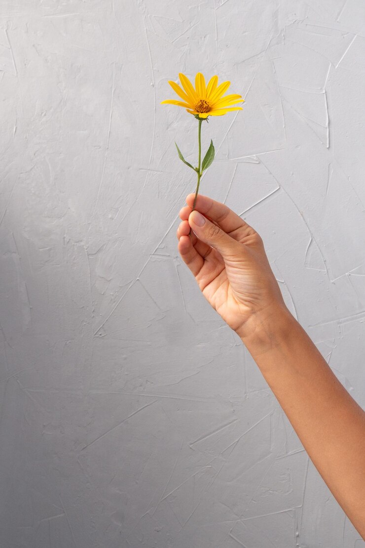 Photo la main coupée tenant une plante à fleurs blanches contre le mur