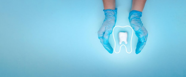 Main de dentiste femelle dans des gants médicaux bleus tient une molaire dentaire et une icône de contour linéaire mince Dent
