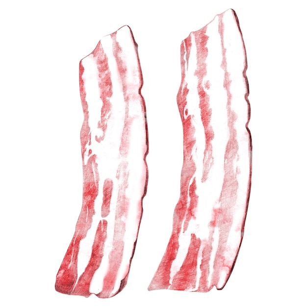 Main dessinée deux tranches de bacon