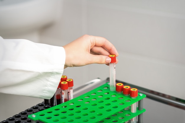 La main du technicien de laboratoire ou de l'infirmière prend le tube à essai de sang vide du rack dans le laboratoire de recherche