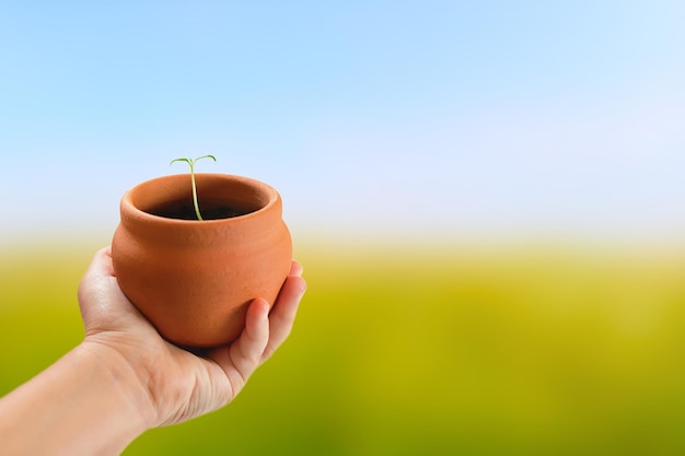 Main d'enfant tenant une jeune plante en pot sur fond de nature