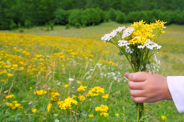 Main d&#39;enfants tenir des fleurs dans le pré de printemps