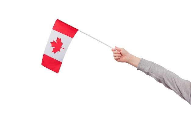 La main des enfants tient le drapeau du Canada isolé sur fond blanc. drapeau avec feuille d'érable.